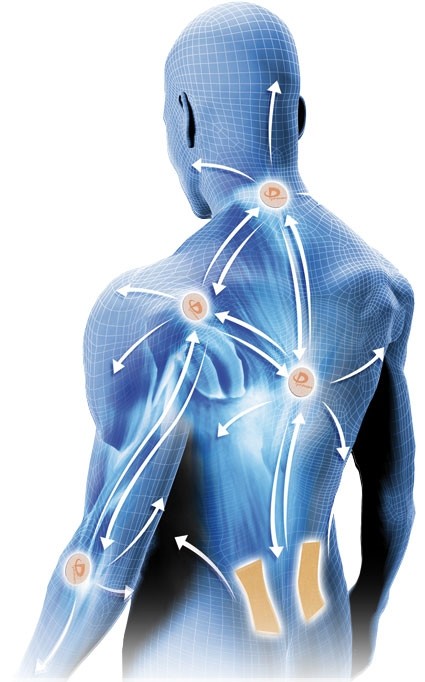 Schematic diagram of a back featuring several round Phiten Titan Power Tapes, including a titanium ball, as well as two rectangular plasters. White arrows indicate the distribution of the effect across the neck, shoulders, arms and lower back.